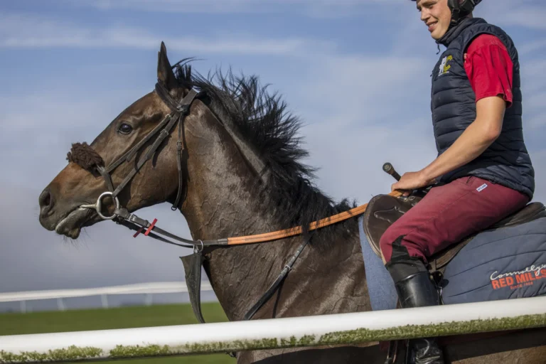 RC Syndicate Horse Wendigo on the gallops