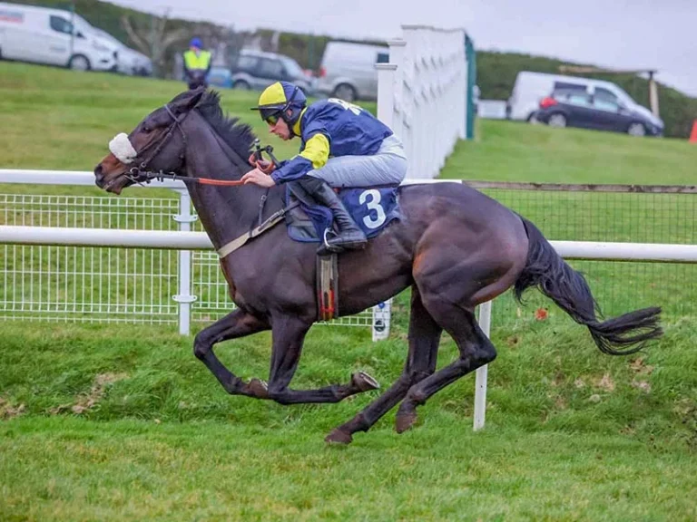 RC Syndicate Horse Wendigo winning at Hexham racecourse 2023