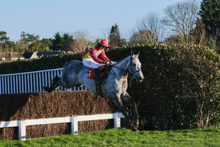 RC Syndicate Horse Farceur Du Large jumping a fence at Sandown racecourse