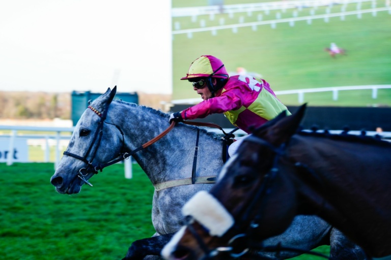 RC Syndicate Horse Farceur Du Large winning at Sandown racecourse