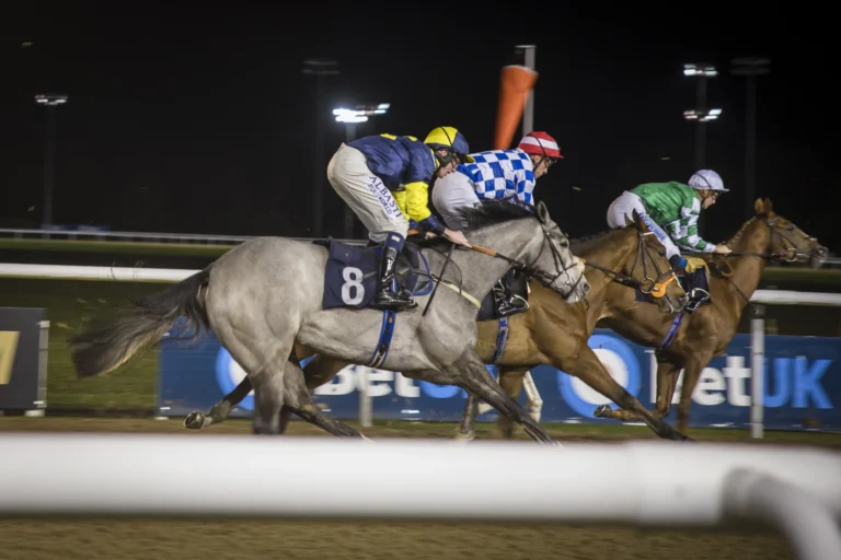 RC Syndicate Horse Greycee Bell racing at Wolverhampton