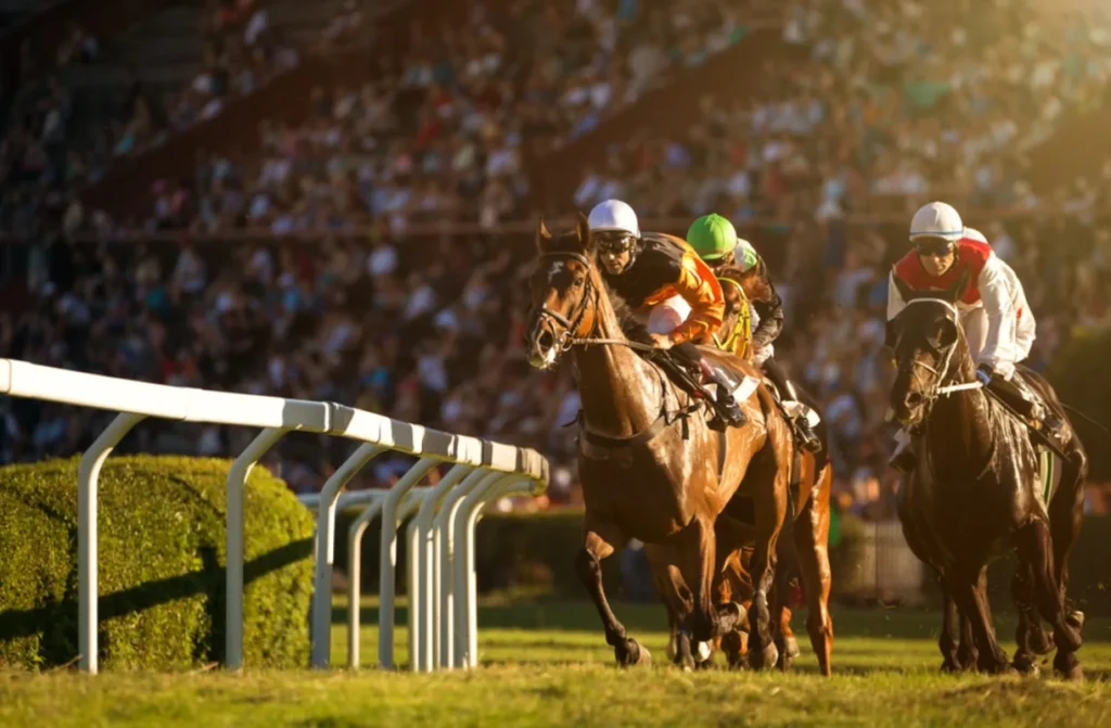 Different types of race horses