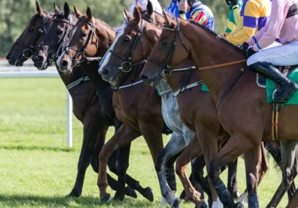 Illustration of a dynamic horse race with jockeys in colorful outfits riding various breeds of horses on a racetrack, with one horse in the foreground.