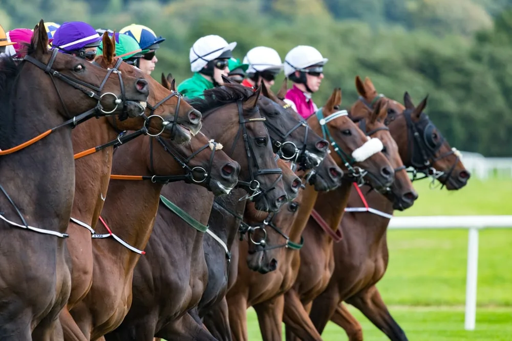 A crowd in vintage clothing watches a horse race at a packed racecourse, with focused and animated expressions, and horses galloping in the background