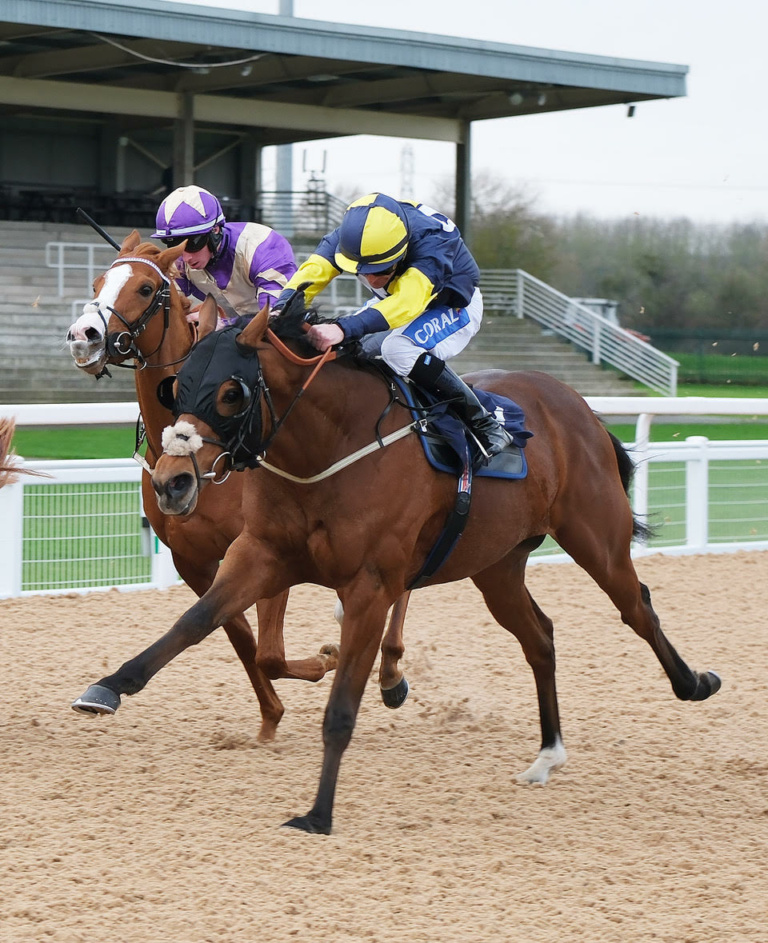 RC Syndicate Horse Dunstan winning at Southwell 2024