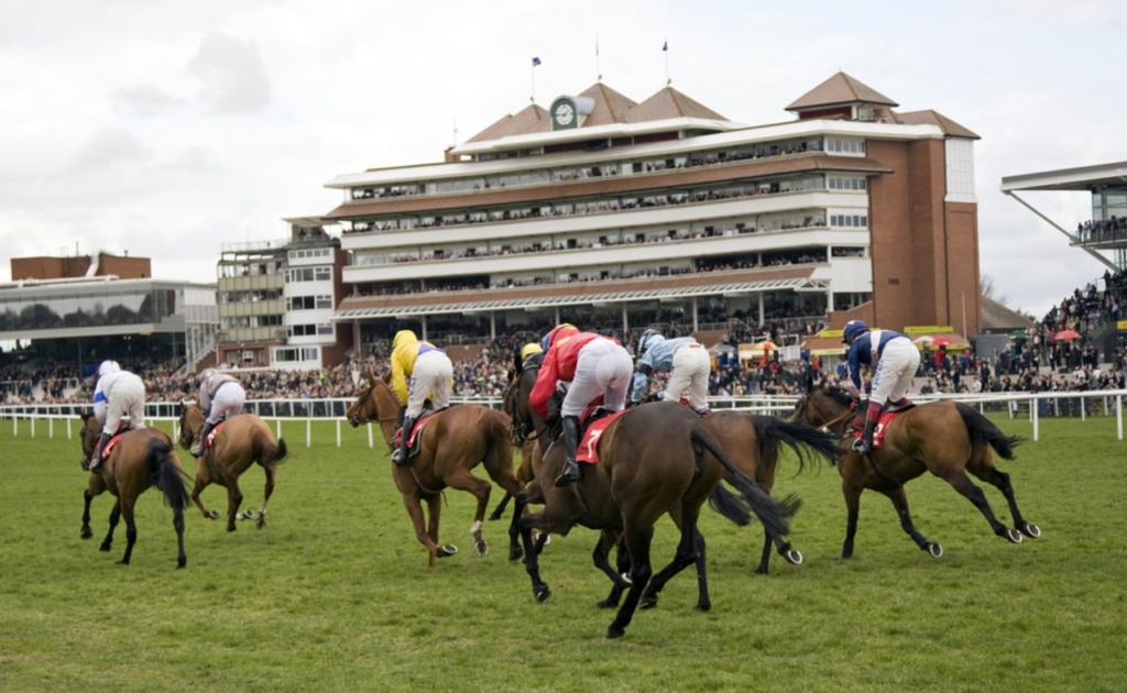 Horse racing event in front of a grandstand, with jockeys in various colored silks riding their mounts mid-race.