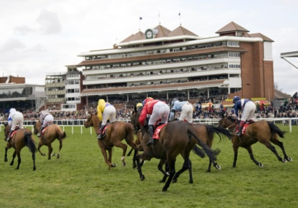 Horse racing event in front of a grandstand, with jockeys in various colored silks riding their mounts mid-race.