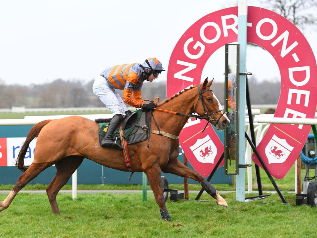 Jockey and horse in mid-race at Bangor-on-Dee Racecourse, with the racecourse branding visible in the background