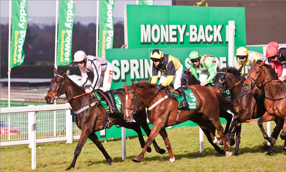 Sandown Park Racecourse