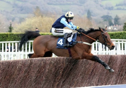 Thrilling horse race in action at Cheltenham Racecourse with jockeys and horses sprinting towards the finish line.