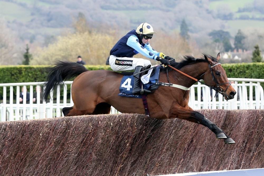 Thrilling horse race in action at Cheltenham Racecourse with jockeys and horses sprinting towards the finish line.