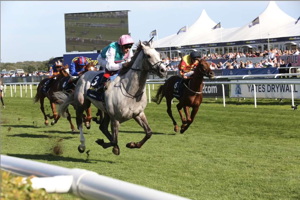 Racehorses thundering down the track at Doncaster Racecourse with jockeys in vibrant silks, as spectators watch from the stands under a clear sky.