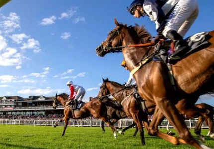 Racing horses competing at Beverley Racecourse with spectators and grandstand in the background