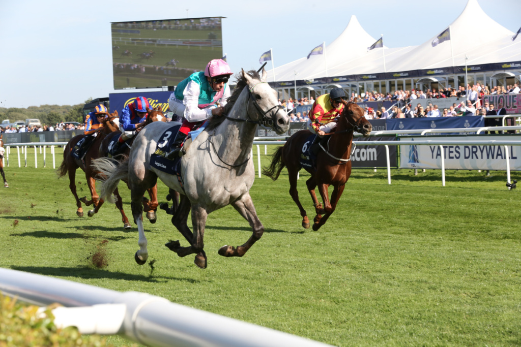 Doncaster,Racecourse,,Sth,Yorkshire,,Uk,:,14,September,2019,: