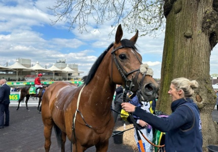 Dunstan after his race in the Classic Trial at Sandown Park Racecourse